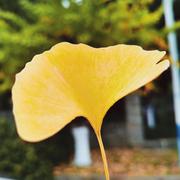 现代人的个人资料头像