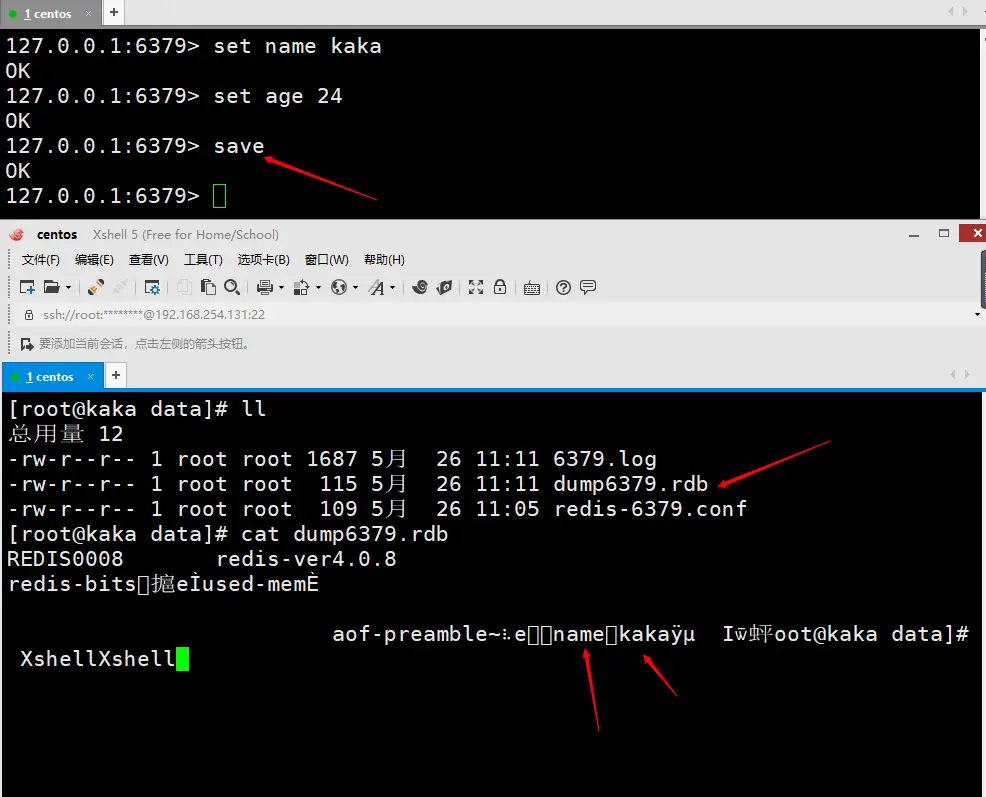 在这里插入图片描述