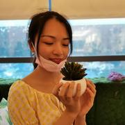 子不鱼的个人资料头像
