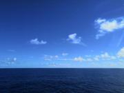 LeeZonX的个人资料头像