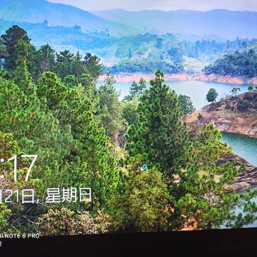 刘小爱于2020-06-21 09:35发布的图片