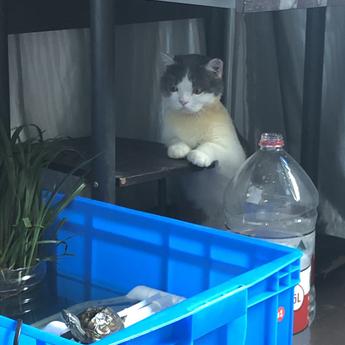 重庆崽儿brand于2020-06-21 11:36发布的图片