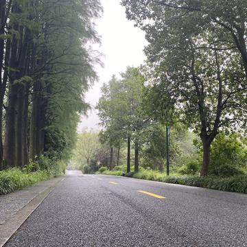 爱吃荆芥于2020-06-21 12:15发布的图片