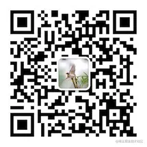 JVM系列之垃圾回收器（中篇）——G1的运行原理以及调优思路