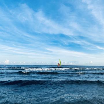 孑孑于2020-06-21 19:39发布的图片