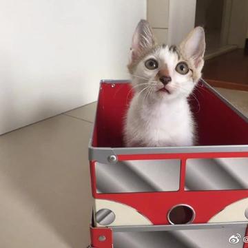喵秒喵于2020-06-22 11:08发布的图片