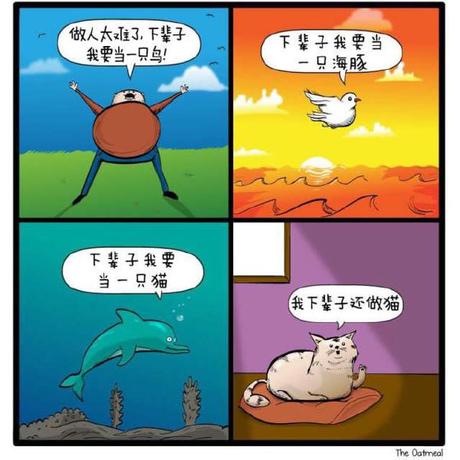 周五下午不coding于2020-06-22 14:50发布的图片