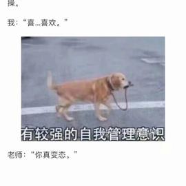 喵秒喵于2020-06-22 15:11发布的图片