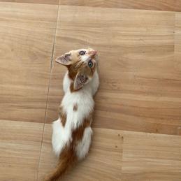 填写我的用户名于2020-06-22 15:11发布的图片