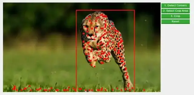 译文：2020的十大JavaScript图像处理库