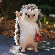 逐梦惜缘的个人资料头像