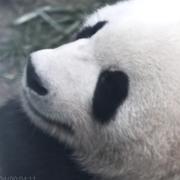 文都的个人资料头像