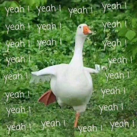 大安丶于2020-06-23 08:59发布的图片