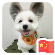 Xxiao59862的个人资料头像