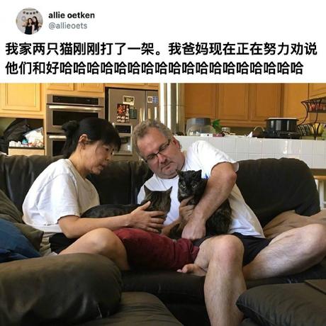 喵秒喵于2020-06-23 16:07发布的图片
