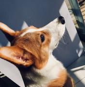 我是你班主任的个人资料头像