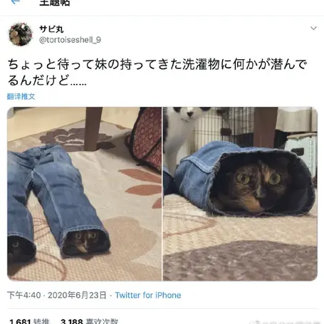 喵秒喵于2020-06-25 11:03发布的图片