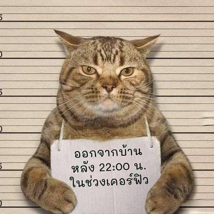 反手一个大逼兜于2020-06-24 12:09发布的图片
