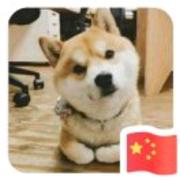 爱学习的周同学的个人资料头像