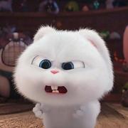 烧火兔的个人资料头像