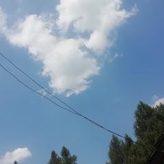 郑泰捐于2020-06-25 15:02发布的图片