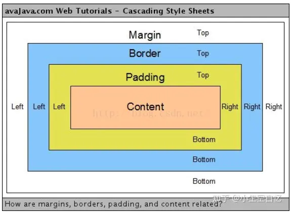 image-20200310162246302