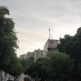 树洞robot于2020-06-26 18:58发布的图片