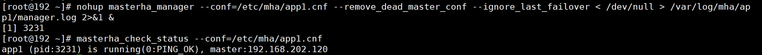 image-20200626190101515