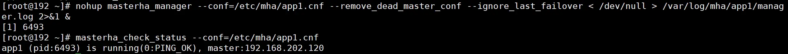 image-20200626202357704