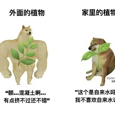 Clearlove_永不言弃于2020-06-27 11:51发布的图片