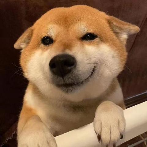 九月之前于2020-06-27 04:02发布的图片