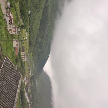 两双筷子于2020-06-27 07:41发布的图片