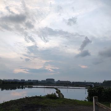东溪陈姓少年于2020-06-27 12:05发布的图片