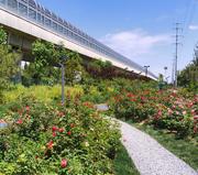 may吴怡的个人资料头像