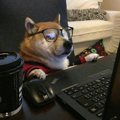 自律先生于2020-06-27 23:40发布的图片