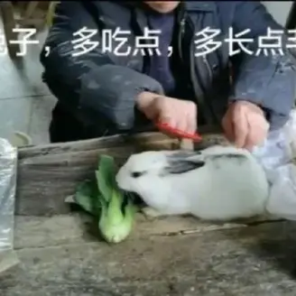 Zoosk于2020-06-28 16:37发布的图片