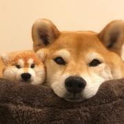 Jaymin_的个人资料头像