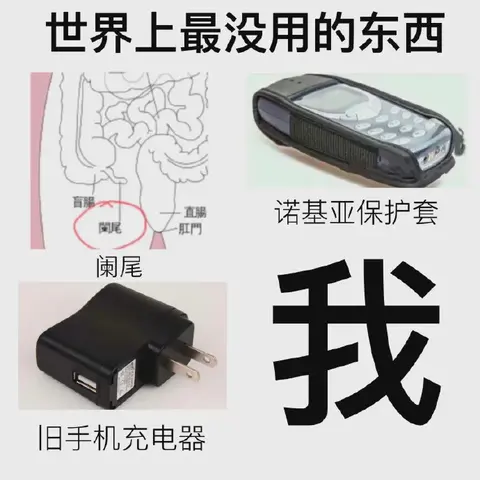 逝水年华QAQ于2020-06-28 21:33发布的图片