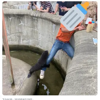 喵秒喵于2020-06-29 10:58发布的图片