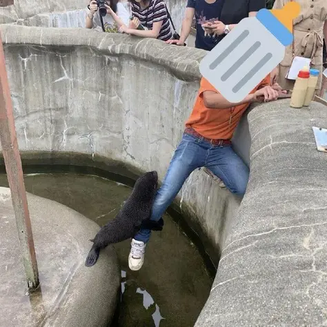喵秒喵于2020-06-29 10:58发布的图片