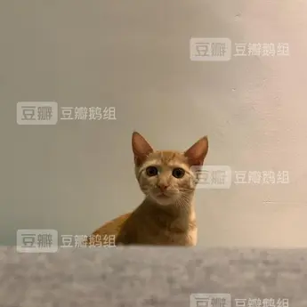 Zoosk于2020-06-29 14:30发布的图片