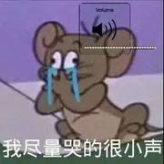 MZL的个人资料头像