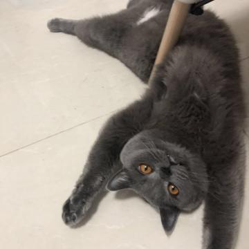 小嘴儿唆了蜜于2020-06-29 15:26发布的图片