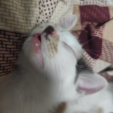 小远同学于2020-06-29 17:27发布的图片