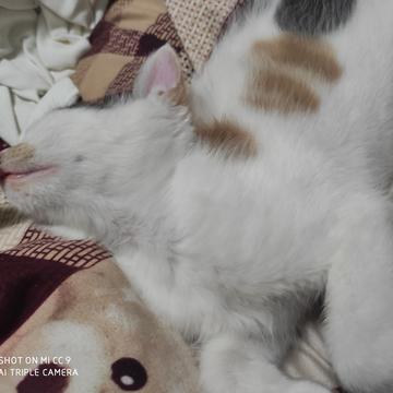 小远同学于2020-06-29 17:27发布的图片