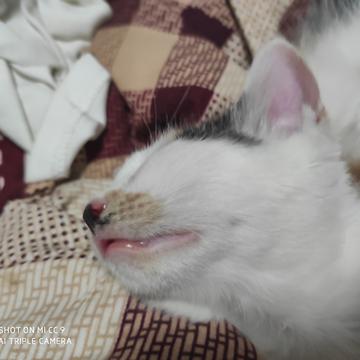 小远同学于2020-06-29 17:27发布的图片