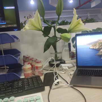 采花大盗于2020-06-29 18:16发布的图片