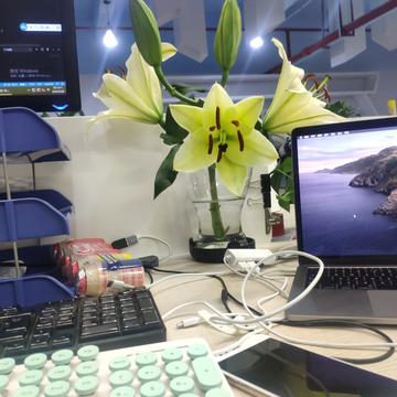 采花大盗于2020-06-29 18:16发布的图片