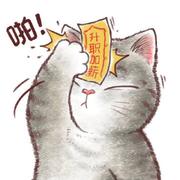 国民辣条代表i的个人资料头像