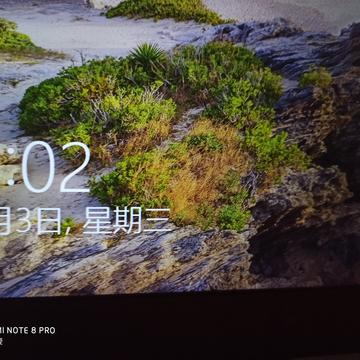 刘小爱于2020-06-03 08:34发布的图片